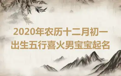 2020年农历十二月初一出生五行喜火男宝宝起名