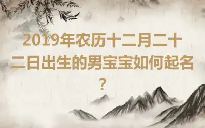 2019年农历十二月二十二日出生的男宝宝如何起名？