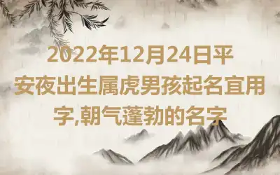 2022年12月24日平安夜出生属虎男孩起名宜用字,朝气蓬勃的名字